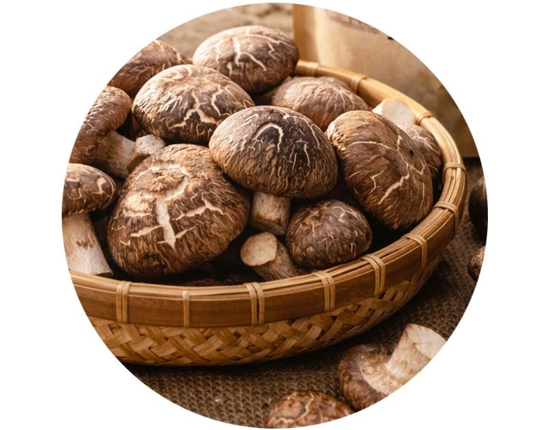 關於好兆頭 關於好兆頭